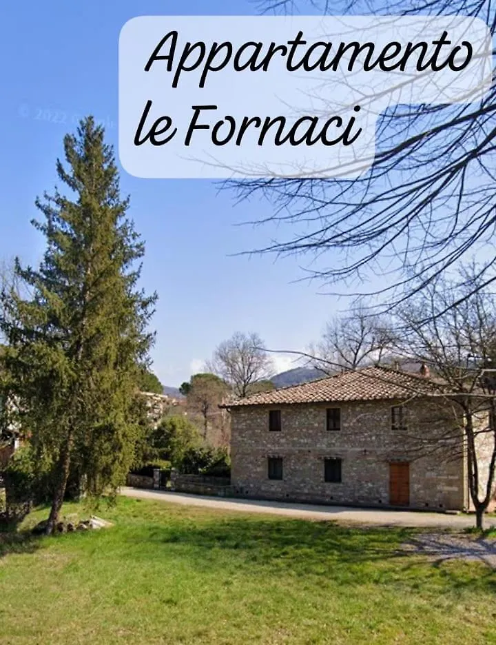 Home In Tuscany Apartman Greve in Chianti