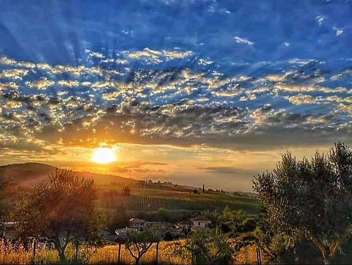 Home In Tuscany